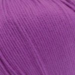 243 - Viola