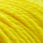 504 - Giallo