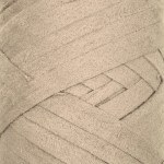 254 - Tortora
