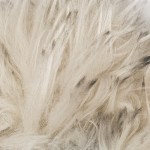 601 - Beige